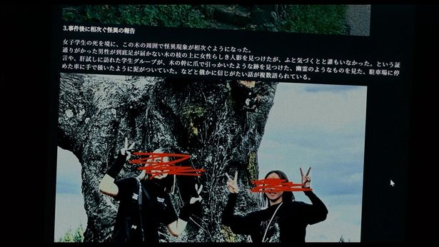 呪いの木の噂は本当なのか？