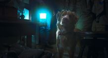 犬視点でドラマが展開される異色ホラー『GOOD BOY／グッド・ボーイ』が1位