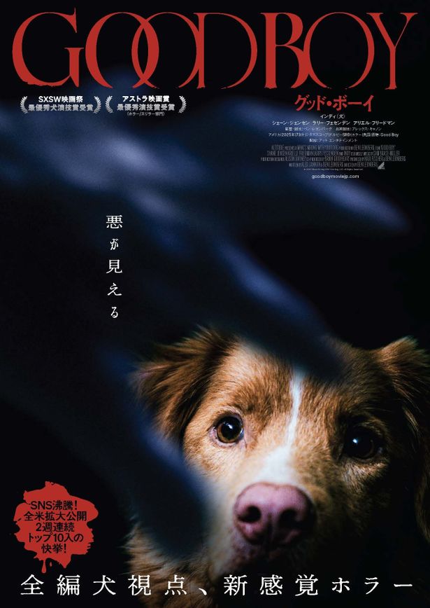 入場者特典のポストカードにも使用される『GOOD BOY／グッド・ボーイ』特別ビジュアル