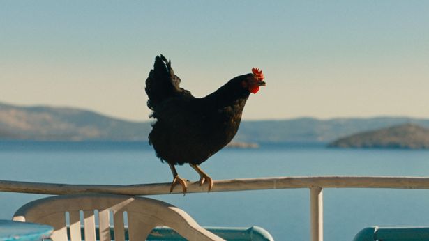 動物トレーナーアルパード・ハラシュの指導のもと CGI や特殊効果に頼ることなく、実演による撮影を敢行