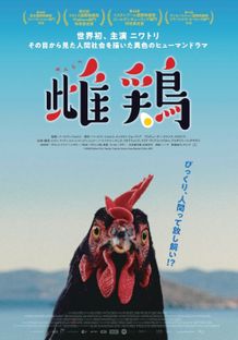 舞台となるギリシャの海辺を背景に、主演である黒い雌鶏がまっすぐこちらを見据えるキービジュアル