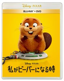 『私がビーバーになる時』ブルーレイ+DVDセットが7月22日(水)に発売