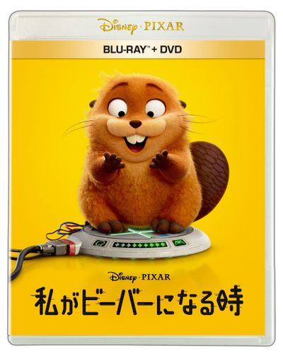 スタッフの遊び心あふれるトリビアを紹介！『私がビーバーになる時』ボーナス・コンテンツをチラ見せ