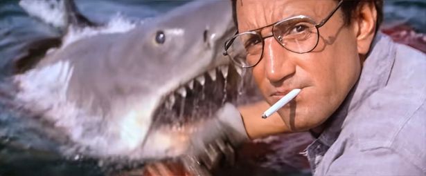 『ジョーズ』を思わせる船上でのパニック描写も！