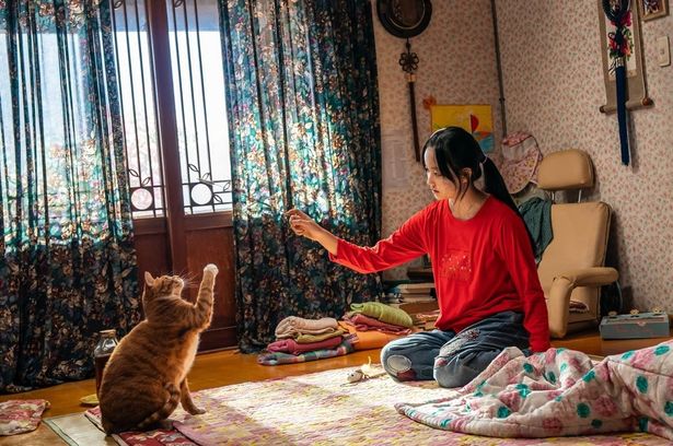 人間顔負けの大活躍を見せるスアの飼い猫・エヨンの強靭なパワーと愛らしさにも注目