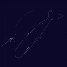 短篇アニメーション映画『しらぬひ』音楽家、青葉市子による書き下ろし主題歌「しらぬひ」がリリース＆配信スタート！