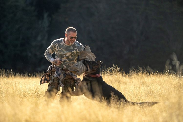 ブラッド・ピット主演『ハート・オブ・ビースト』退役軍人と義足の元軍用偵察犬の絆を収めた本予告＆場面写真