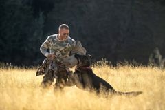 ブラッド・ピット主演『ハート・オブ・ビースト』退役軍人と義足の元軍用偵察犬の絆を収めた本予告＆場面写真