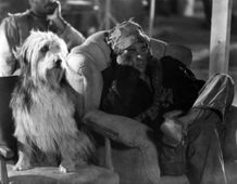 終末を一緒にサバイブしたいキュートな映画の犬を集めてみた！(『少年と犬』)