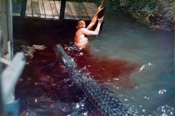 繰り返しワニを題材とした作品を撮っているトビー・フーパー(『悪魔の沼』)
