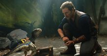 前作でも大活躍だったブルー、本作でもオーウェンのため奮闘？