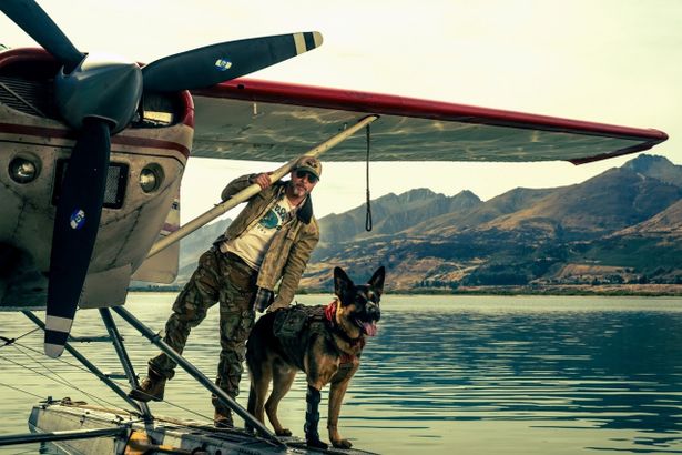退役軍人ジェームズ(ブラッド・ピット)と、元偵察犬のオーディン(ジャーマン・シェパードのウーバー)との深い絆が描かれる