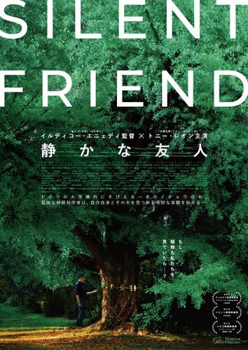 大きなイチョウの木と人々の交流を描く知的ミステリー『静かな友人』ティザーポスター、予告編、場面写真が一挙解禁