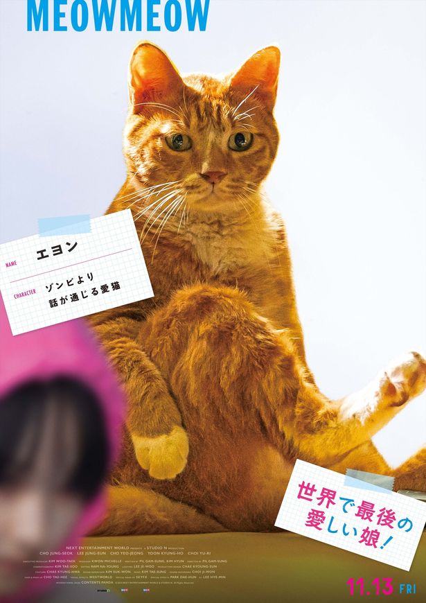 スアの愛猫エヨン。なんとも言えない哀愁が漂っているが…