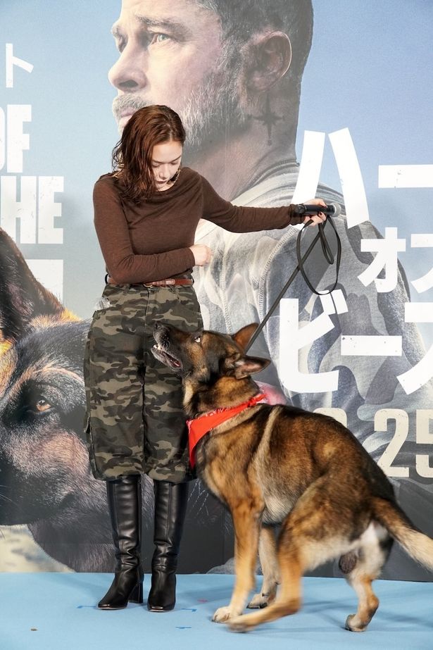 会場を癒しまくっていた、シェパード犬のDINOくん
