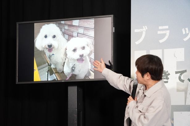 井上裕介、愛犬を紹介！