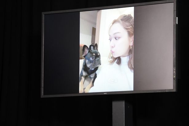 村重杏奈の愛犬は、“乱刃血(らんぱち)”