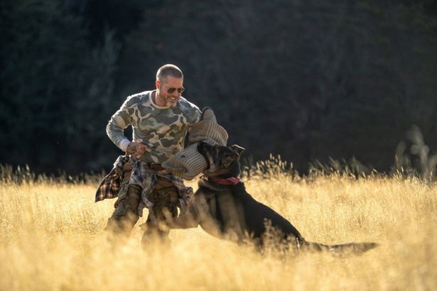 ブラッド・ピット演じる退役軍人ジェームズと義足の元偵察犬との熱い絆が描かれる『ハート・オブ・ビースト』