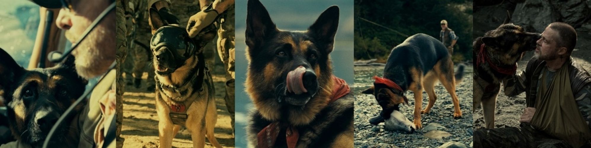 「奥にあるのはラブストーリー」ブラッド・ピット主演『ハート・オブ・ビースト』人間と愛犬の絆を熱く語る特別映像＆場面写真