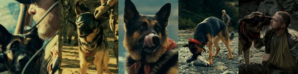 ブラッド・ピット主演映画『ハート・オブ・ビースト』で人間と愛犬の絆を熱く語る特別映像＆場面写真が解禁