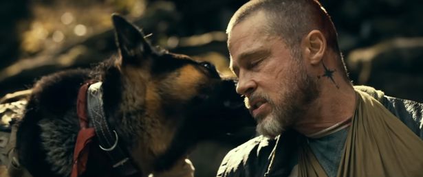 現在62歳のピット。主演最新作『ハート・オブ・ビースト』がまもなく公開を迎える