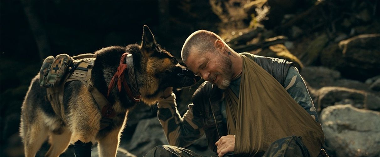ハリウッドきっての犬好き！『ハート・オブ・ビースト』の熱演も納得のブラピの愛犬家伝説