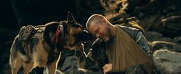 『ハート・オブ・ビースト』につながるブラッド・ピットの愛犬家エピソードを紹介！