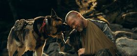 『ハート・オブ・ビースト』につながるブラッド・ピットの愛犬家エピソードを紹介！