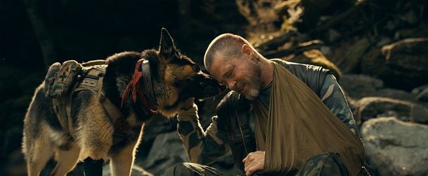 『ハート・オブ・ビースト』につながるブラッド・ピットの愛犬家エピソードを紹介！