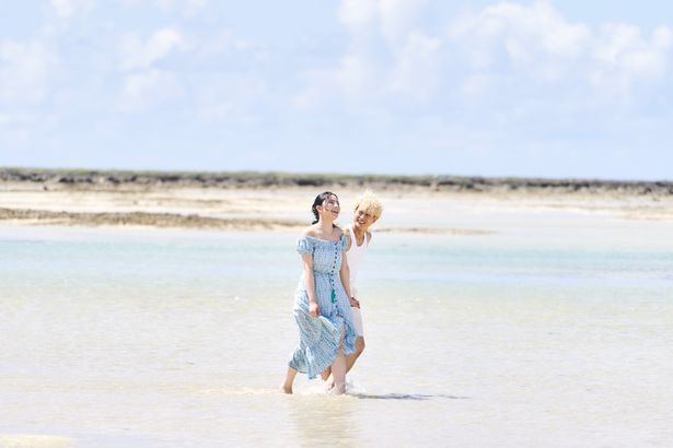 マッチングツアーの舞台となるのは、美しい南の島のリゾート