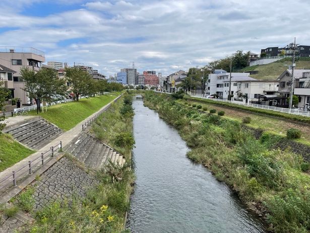 図書館から家への帰り道として登場する大栗川
