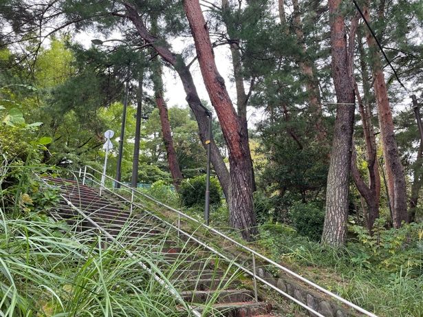 階段は生えている松までそっくりそのまま映画に登場する
