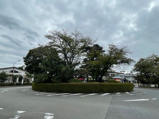 地球屋のロータリーの中央には立派な木々が生えている