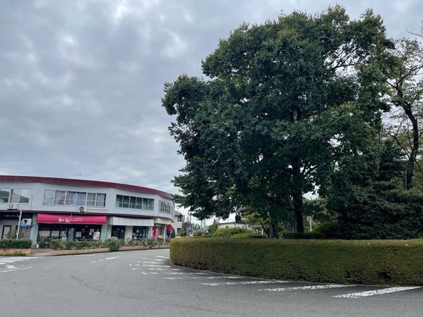 周囲には店が立ち並び、ファンの人気スポットになっているようだ
