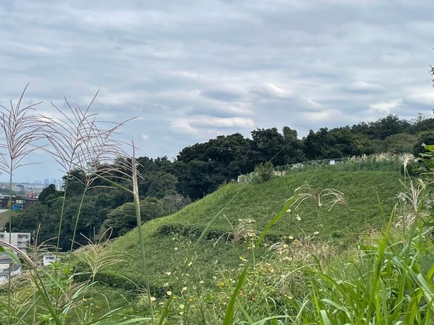 ファンに“耳丘”と呼ばれているポイントは近づけないようになっている