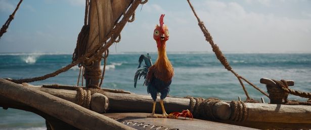 『モアナと伝説の海』に登場するニワトリのキャラクターヘイヘイ