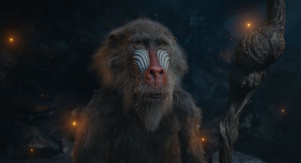 最先端CG技術で動物たちの微細な表情や感情の機微まで見事に表現