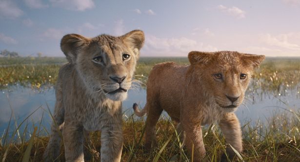 6日に放送される『ライオン・キング：ムファサ』は、『ライオン・キング』(19)の原点となる物語