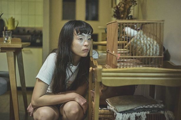 特別上映作品『When You Open the Door(邦題とびらをあけたら)』