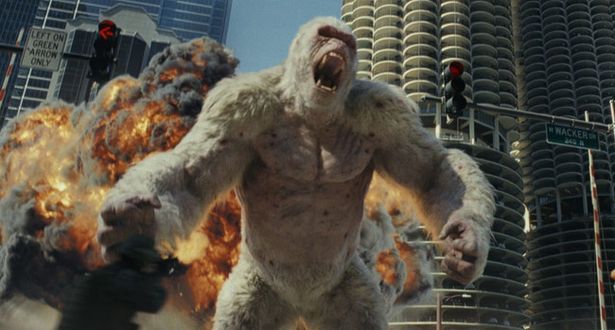 【写真を見る】かわいかったはず(？)の動物が巨大化し、暴れまわる『ランペイジ 巨獣大乱闘』