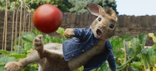 ピーターらウサギたちのもふもふ感が女性のツボをくすぐった『ピーターラビット』