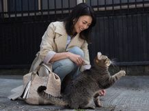 猫と戯れる柴咲コウがキュート