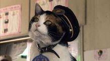 駅長として人気を集める猫のたま