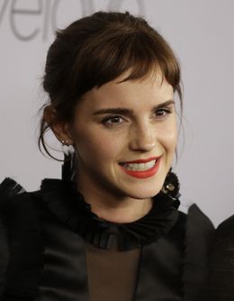 エマの破局はカモフラージュ？