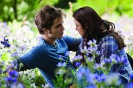 映画 トワイライト ベラのターコイズバングル 映画 トワイライト ベラのターコイズバングル - メルカリ