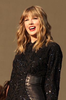 テイラーがコンサート中に転倒！