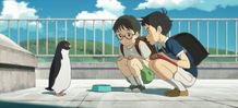 街に突然ペンギンが！そんな胸躍るシチュエーションでもアオヤマ君はじっくり観察(『ペンギン・ハイウェイ』 )