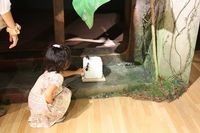 借りぐらしのアリエッティ×種田陽平展』で小人の世界をいち早く