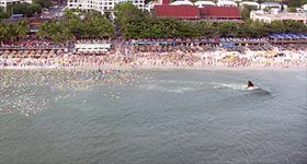 賑わうビーチに超巨大ザメが出現