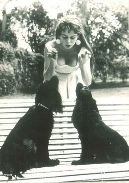 黒髪のバルドーの秘蔵カットを入手できるチャンス